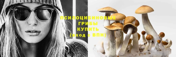 твердый Арсеньев