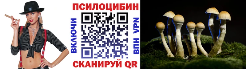сколько стоит  Заречный  Псилоцибиновые грибы мухоморы 
