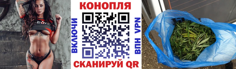 где найти наркотики  Заречный  Каннабис тримм 